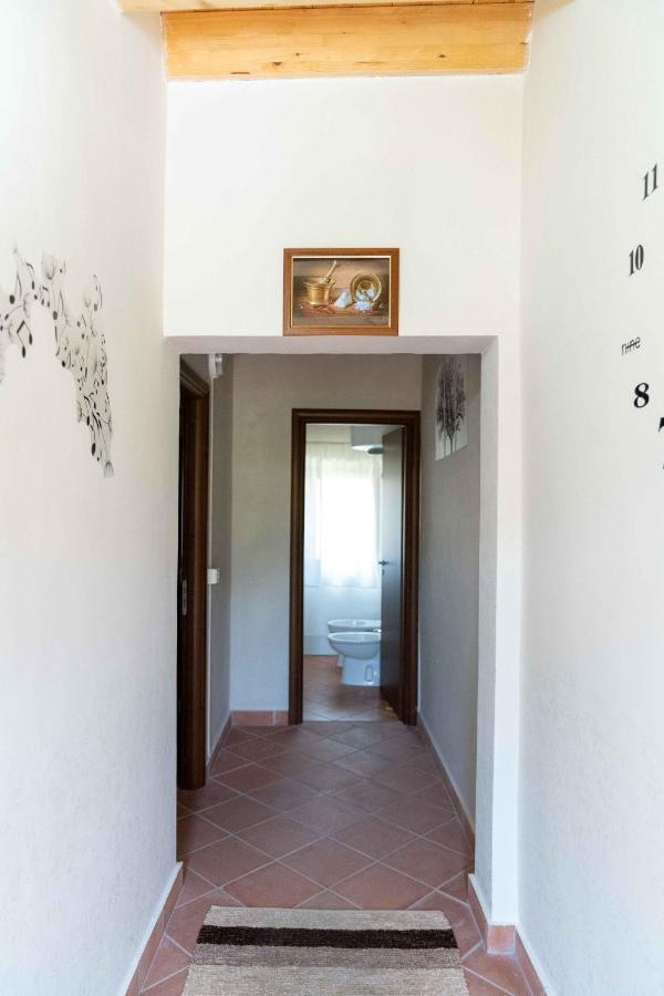 Verbicaro B&B Aria Antica المظهر الخارجي الصورة